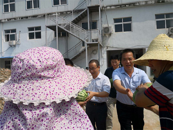 检测线.png